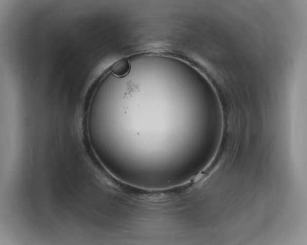 X0000115731410200911191403