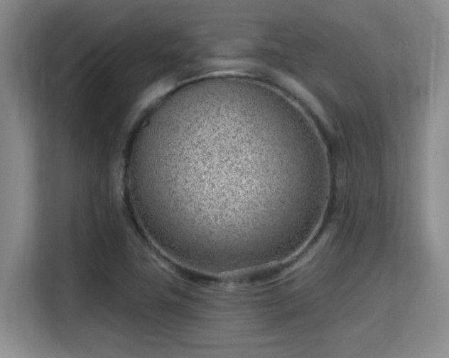 X0000115731411200911191403