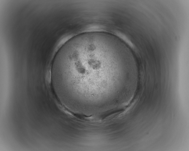 X0000115731413200911191403