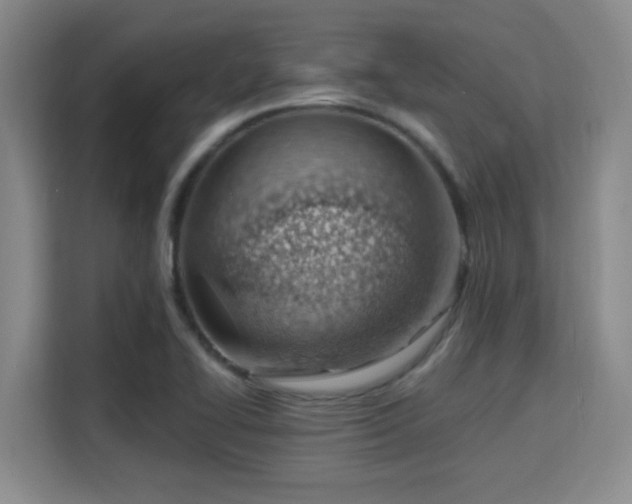 X0000115731414200911191403