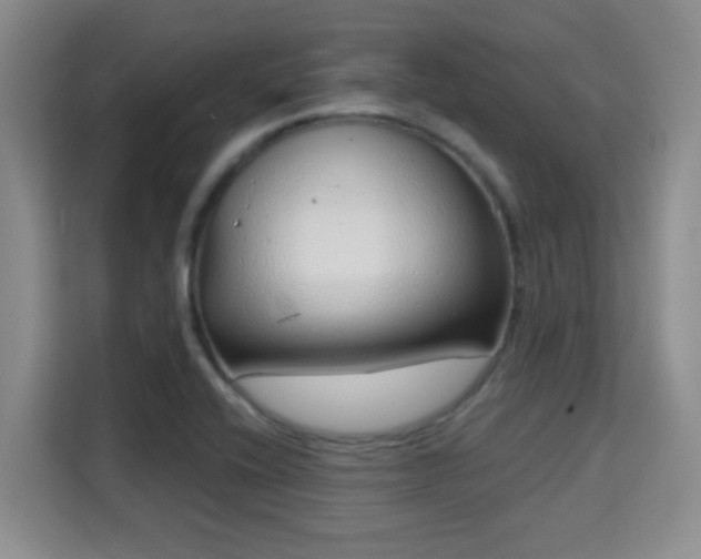 X0000115731416200911191403