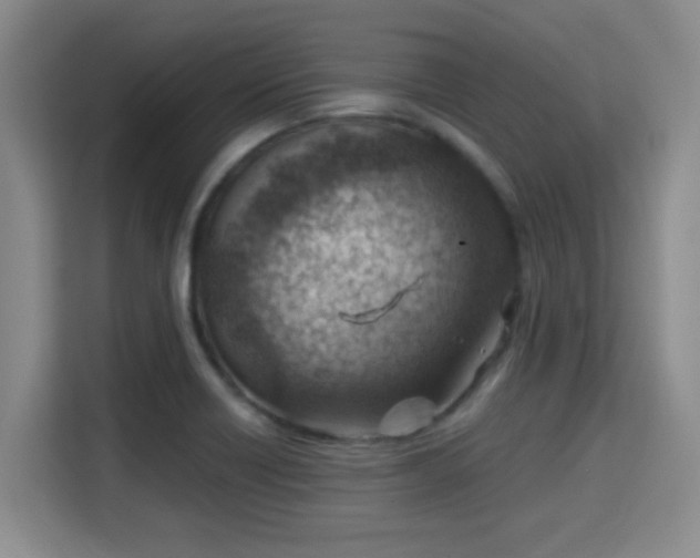 X0000115731418200911191403