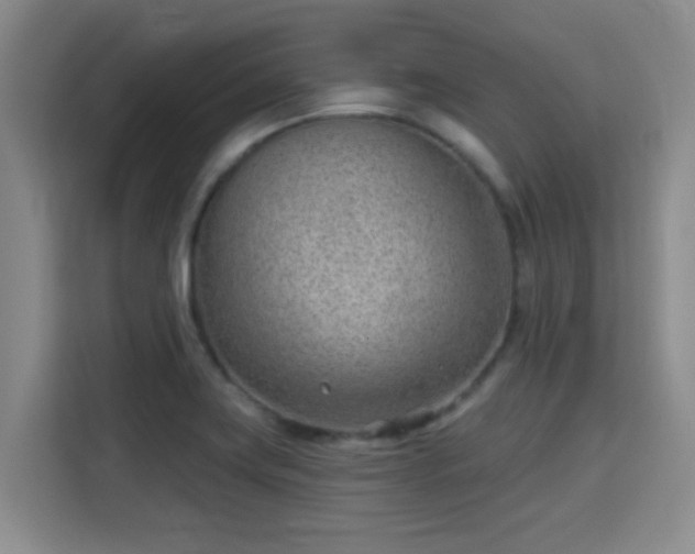 X0000115731419200911191403