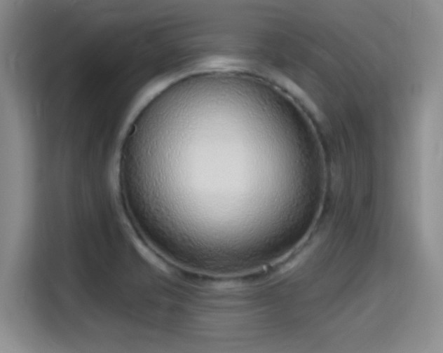 X0000115731421200911191403