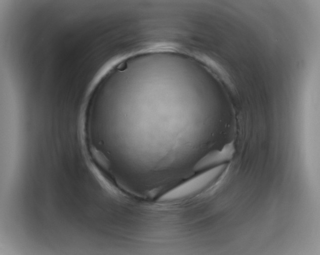 X0000115731422200911191403