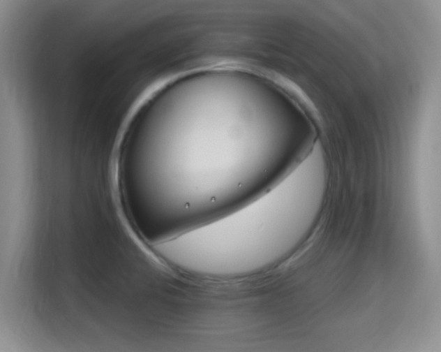 X0000115731424200911191403