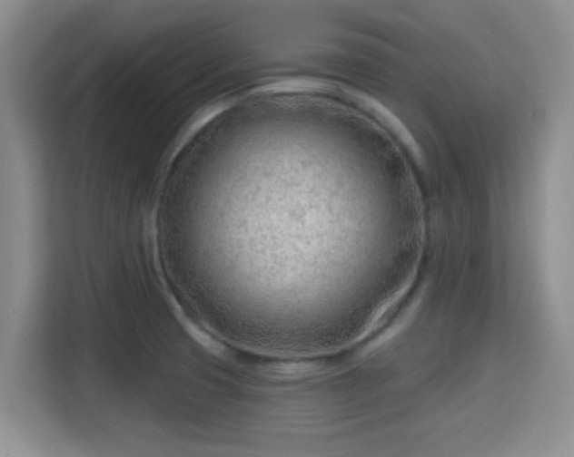 X0000115731425200911191403