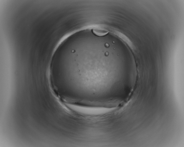 X0000115731428200911191403