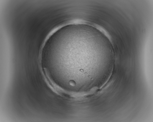 X0000115731429200911191403