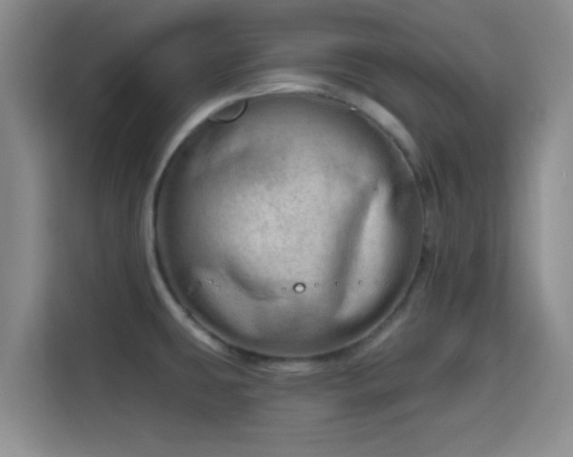 X0000115731431200911191403