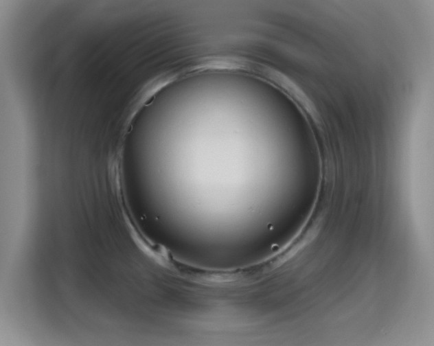 X0000115731433200911191403