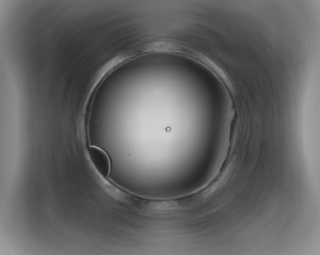 X0000115731434200911191403