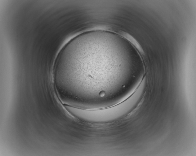 X0000115731436200911191403