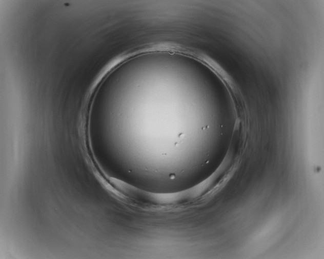 X0000115731438200911191403