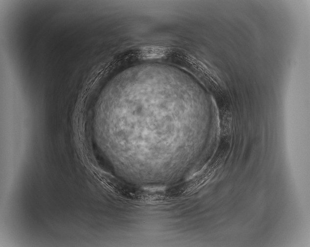 X0000115731441200911191402