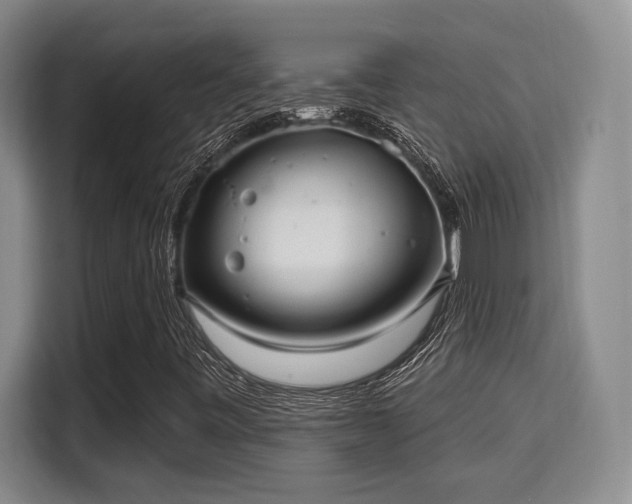 X0000115731443200911191402