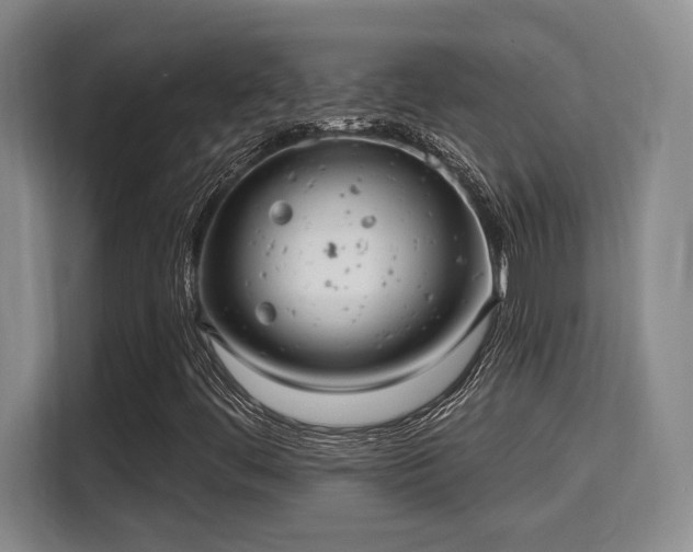 X0000115731444200911191402