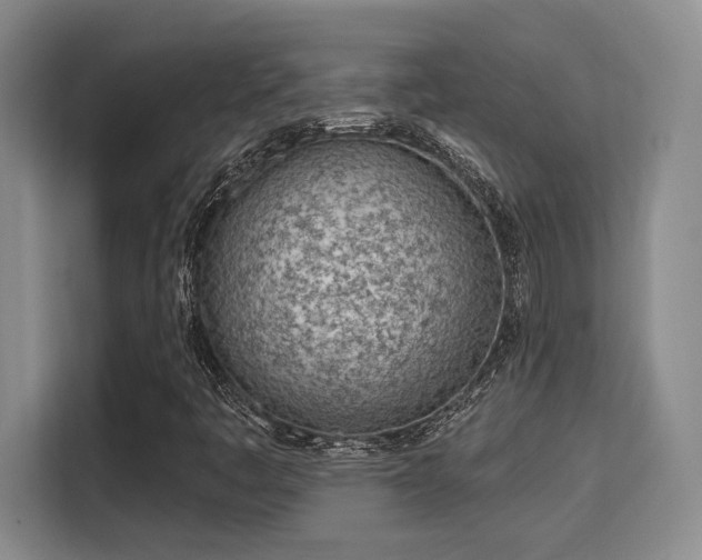 X0000115731445200911191402