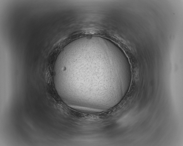 X0000115731446200911191402