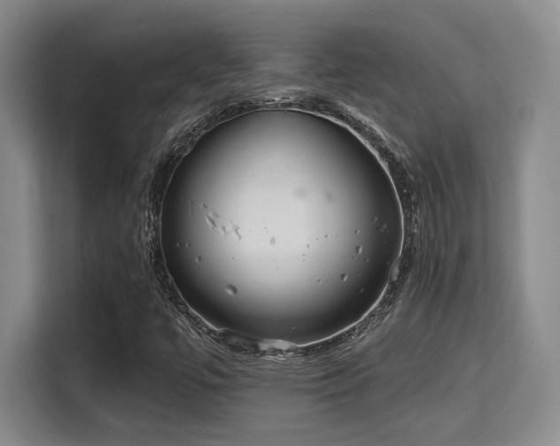 X0000115731447200911191402