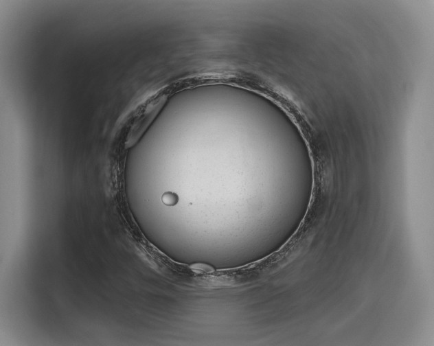 X0000115731448200911191402