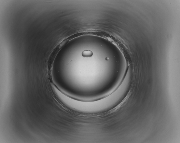 X0000115731449200911191402