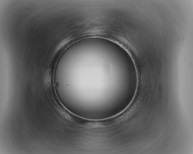 X0000115731450200911191402