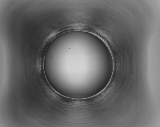 X0000115731451200911191402