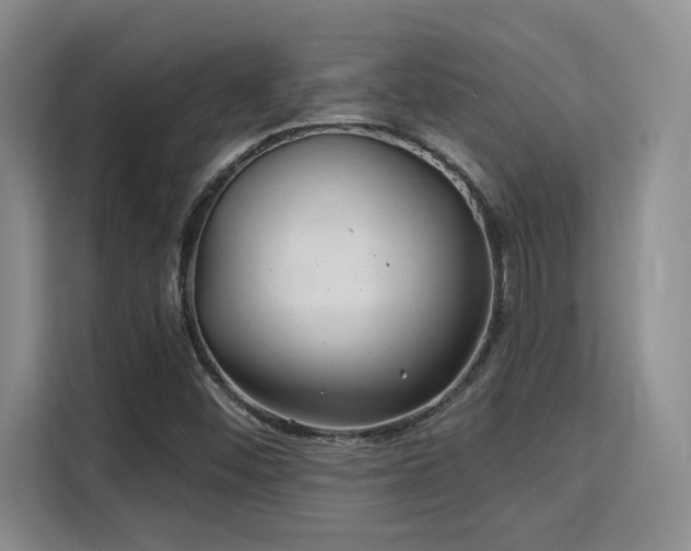 X0000115731452200911191402