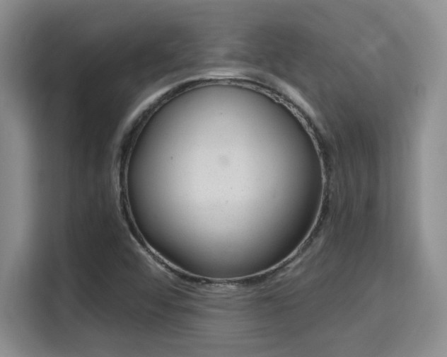 X0000115731456200911191402