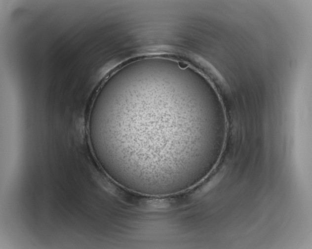 X0000115731457200911191402