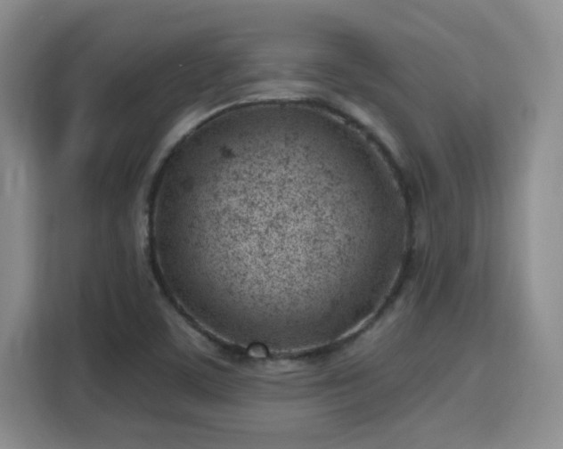 X0000115731459200911191402