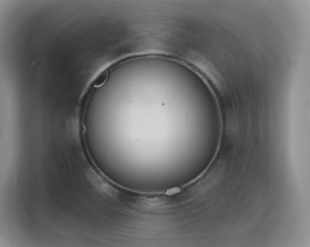 X0000115731460200911191402