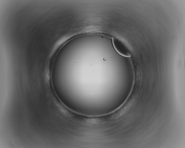 X0000115731461200911191402