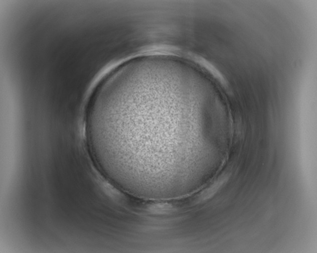 X0000115731462200911191402