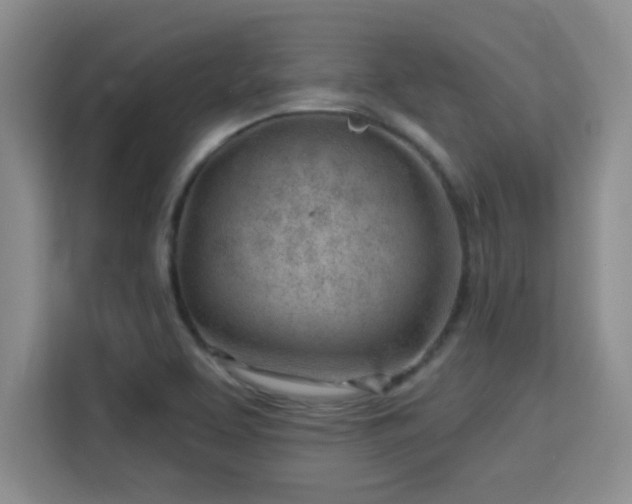 X0000115731463200911191402