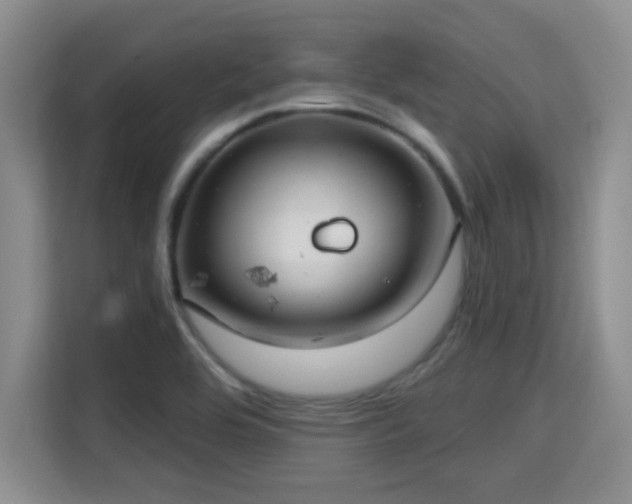 X0000115731464200911191402