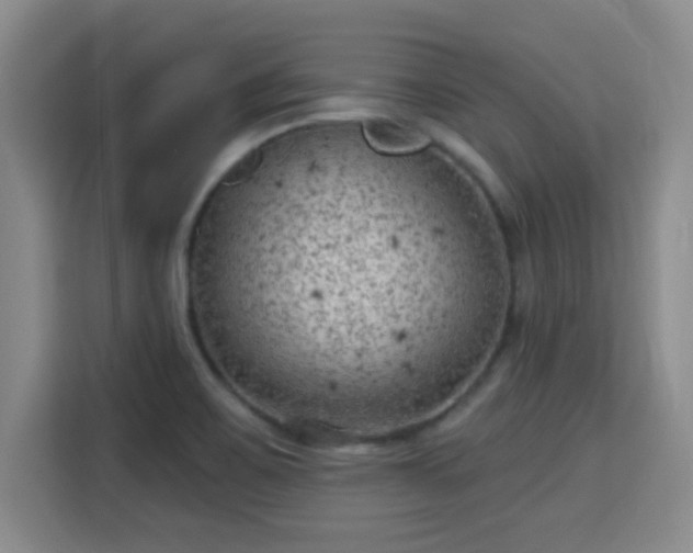 X0000115731467200911191402