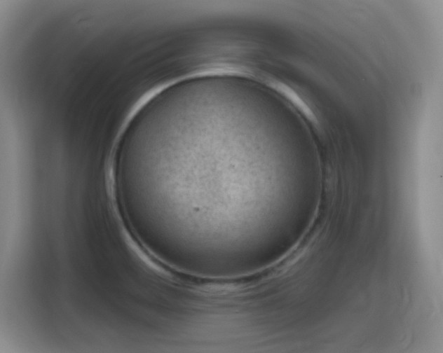 X0000115731468200911191402