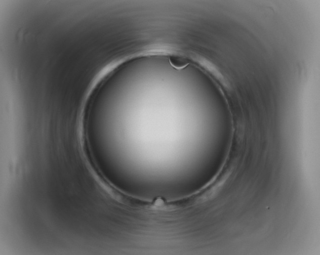 X0000115731469200911191402