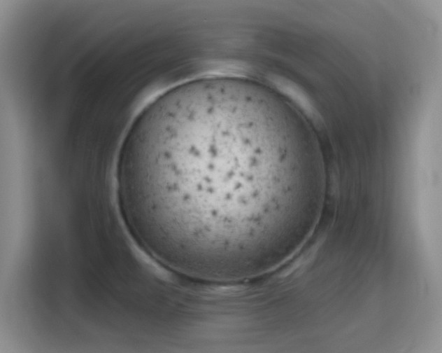X0000115731471200911191402