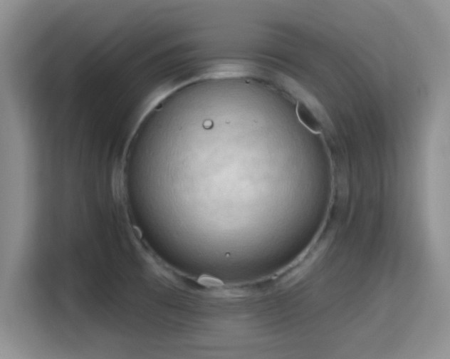 X0000115731473200911191402