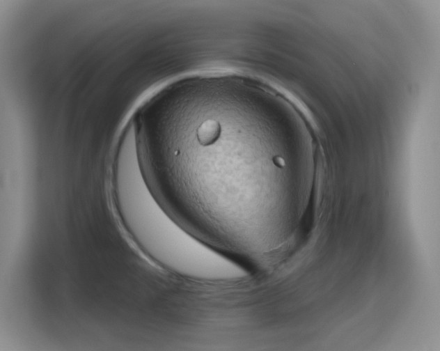 X0000115731477200911191402