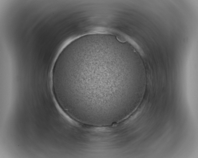 X0000115731479200911191402