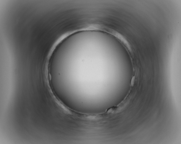 X0000115731480200911191402