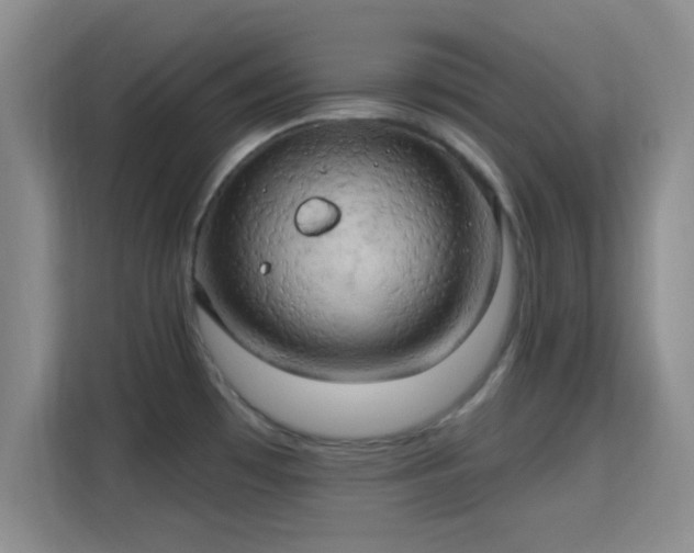 X0000115731481200911191402