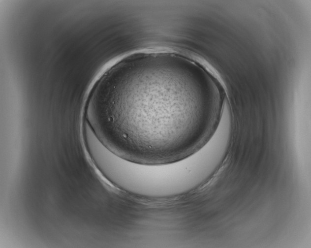 X0000115731485200911191402