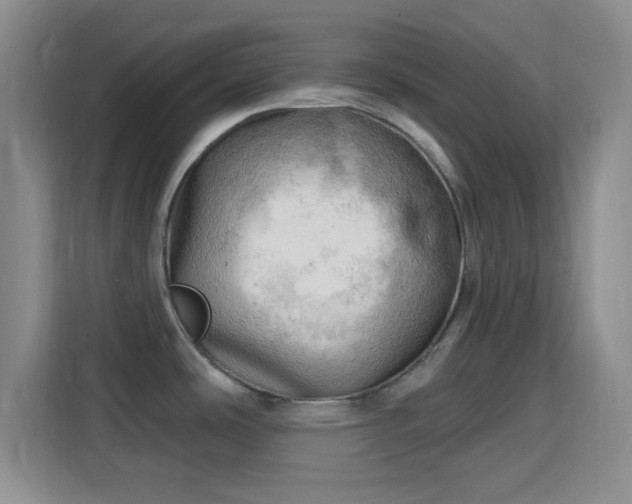 X0000115731486200911191402