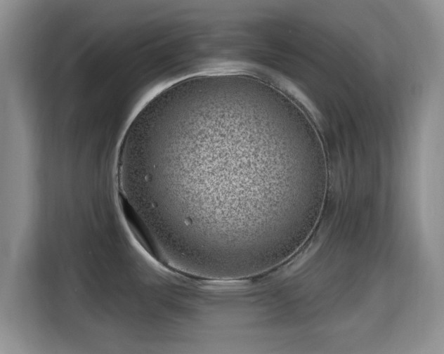 X0000115731487200911191402