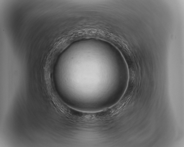 X0000115731489200911191401